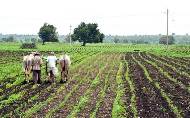 ಕೊಡಗಿನಲ್ಲಿ ಆಶಾದಾಯಕ ಮಳೆ: ಕೃಷಿ ಇಲಾಖೆ ವಿಶ್ವಾಸ